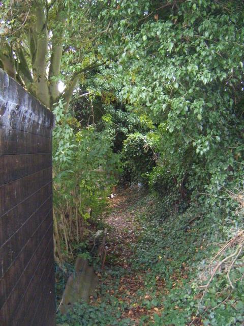 dscf2125.jpg